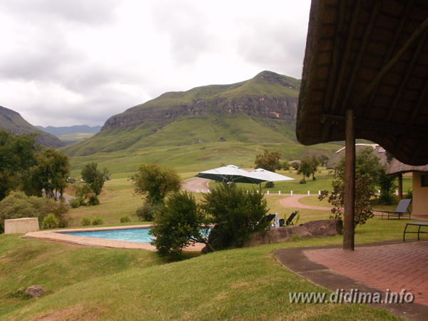 didima camp information4.png